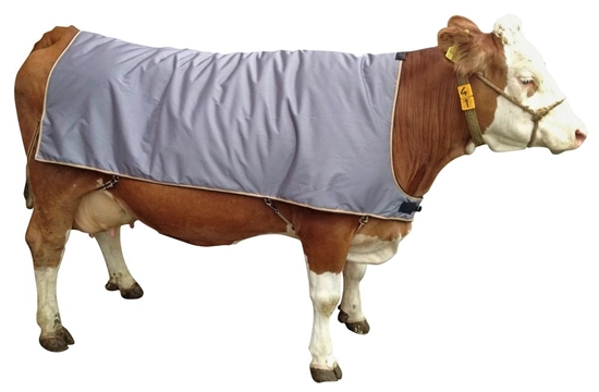 Fotografija proizvoda Deka za krave 155 cm