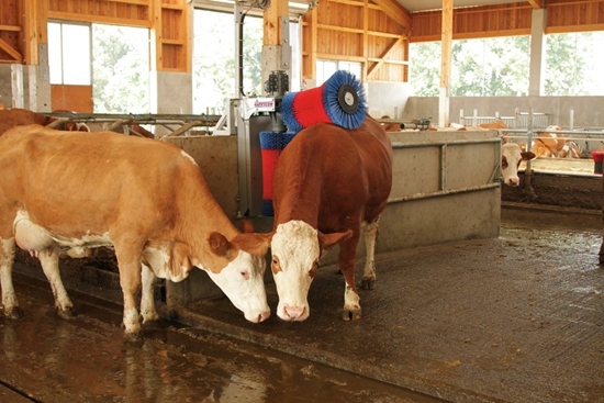 Fotografija proizvoda Stroj za čišćenje krava HAPPYCOW Duo