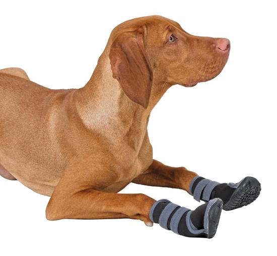 Zaštitne papuče za pse XXS