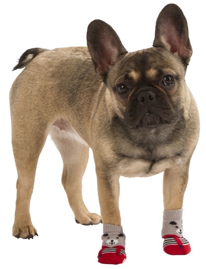 Čarape za pse Bruno L