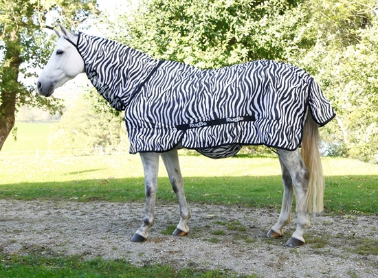 Deka za konje Zebra look 135 cm 185 cm