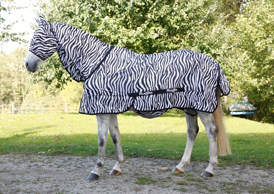 Deka za konje Zebra look 145 cm 195 cm