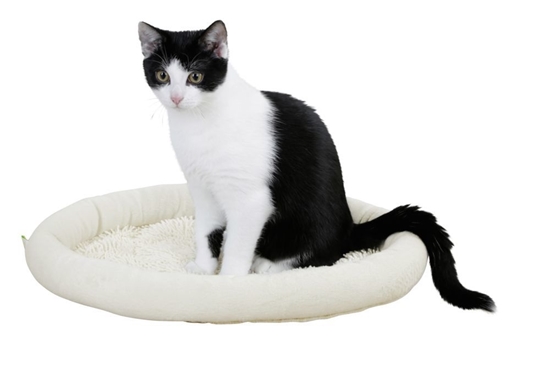 Jastuk za mačke Sweety 48x40 cm 