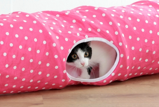 Tunel za mačke Puntino duljine  100cm