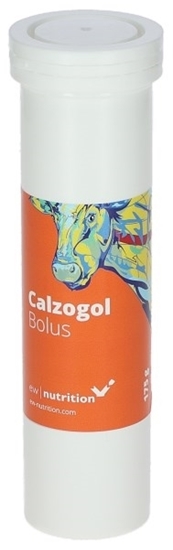 Fotografija proizvoda Calzogol Bolus Bolus s kalcijem (mliječna groznica)