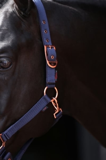 Fotografija proizvoda Ular za konje Classy, veliki plavi