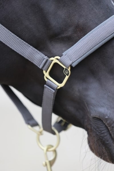 Fotografija proizvoda Ular za konje Classy, veliki sivi