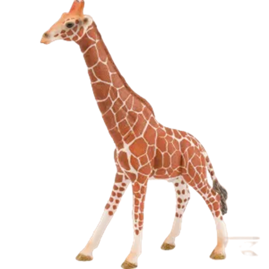 Fotografija proizvoda Igračka Žirafa, mužjak Schleich