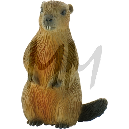 Igrača SVIZEC Igrača SVIZEC