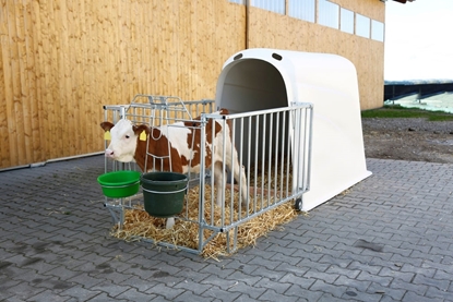 Prikaži detalje za  CalfHouse Premium Plus Fotografija proizvoda CalfHouse Premium Plus