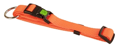 Ogrlica za psa-narančasta, 45 - 65 cm