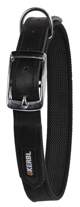 Crna ogrlica za psa: 38–46 cm