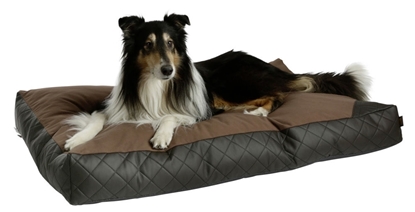 Jastuk Giulia 50 x 80 x 15 cm