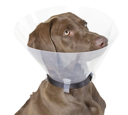 Zaštitni ovratnik za pse 28 - 33 cm