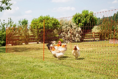 Mreža za perad PoultryNet s dvostrukim vrhom : 50m/106cm Mreža za perad PoultryNet s dvostrukim vrhom : 50m/106cm