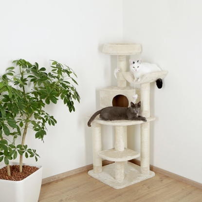 Grebalica za mačke Zirkonia visine 130cm  Grebalica za mačke Zirkonia visine 130cm