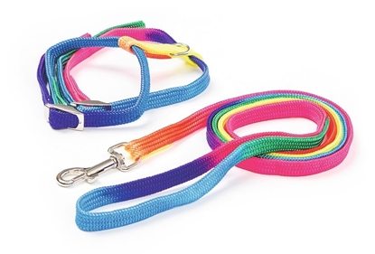 Ham s povodnikom  za mačke Rainbow Ham s povodnikom  za mačke Rainbow