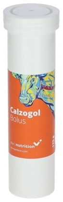 Prikaži detalje za  Calzogol Bolus Bolus s kalcijem (mliječna groznica) Fotografija proizvoda Calzogol Bolus Bolus s kalcijem (mliječna groznica)