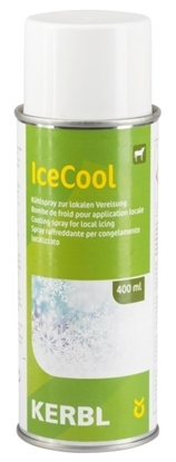 Prikaži detalje za  Sprej za hlađenje IceCool Fotografija proizvoda Sprej za hlađenje IceCool