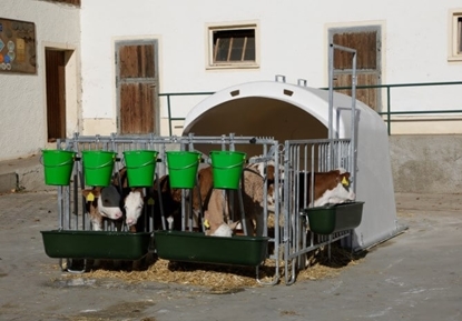 Fotografija proizvoda CalfHouse Premium XL