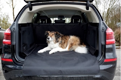 Fotografija proizvoda Sag za prtljažnik Economy