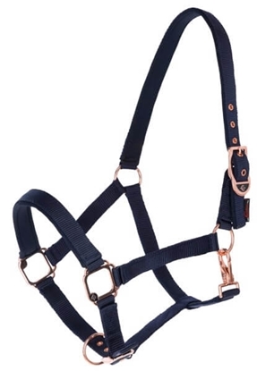 Fotografija proizvoda Ular Classy