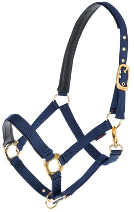 Prikaži detalje za  Ular hippo pony Nevy Fotografija proizvoda Ular hippo pony Nevy