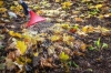 Fotografija proizvoda Grablje za lišće regulirajućes alumijiskom drškom