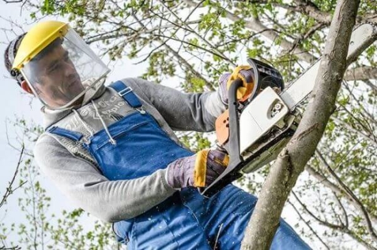Fotografija proizvoda Štitnik za lice PVC