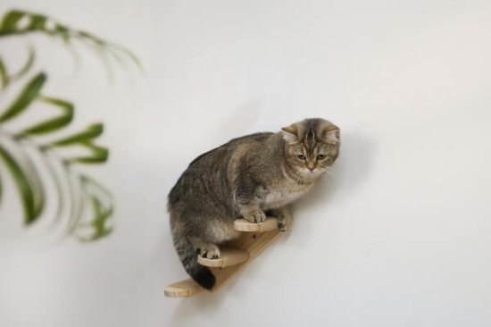 Fotografija proizvoda Drvene ljestve za mačke  