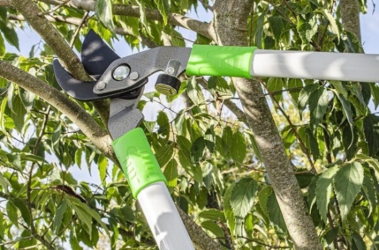 Fotografija proizvoda Škare za grane 70cm -  Bypass 